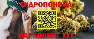 молекула духа Будённовск